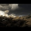 Ghost of Tsushima