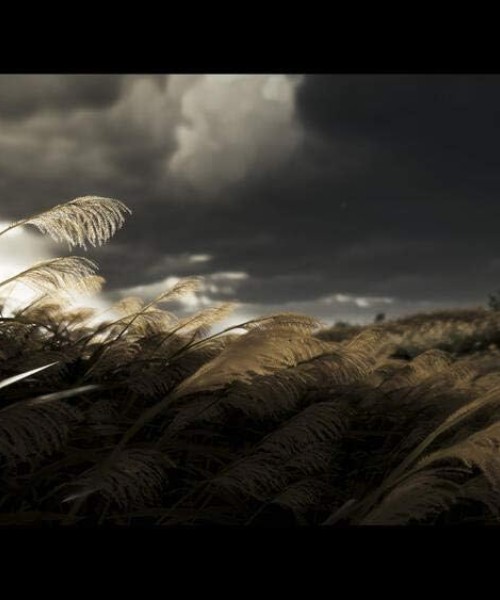 Ghost of Tsushima