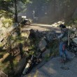 Days Gone