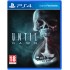 Until Dawn